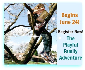 LOGO for PFA Summer 2013